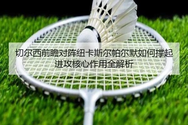 切尔西前瞻对阵纽卡斯尔帕尔默如何撑起进攻核心作用全解析